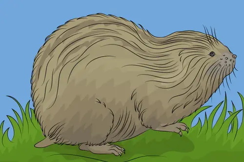 Lemming2.webp